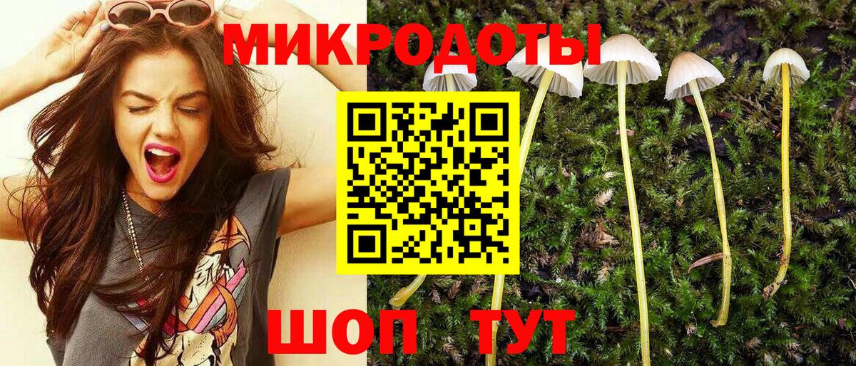 Псилоцибиновые грибы Psilocybe  Псилоцибиновые грибы MAGIC MUSHROOMS  Вход с VPN  Искитим 
