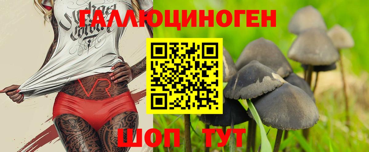 Галлюциногенные грибы мицелий Искитим
